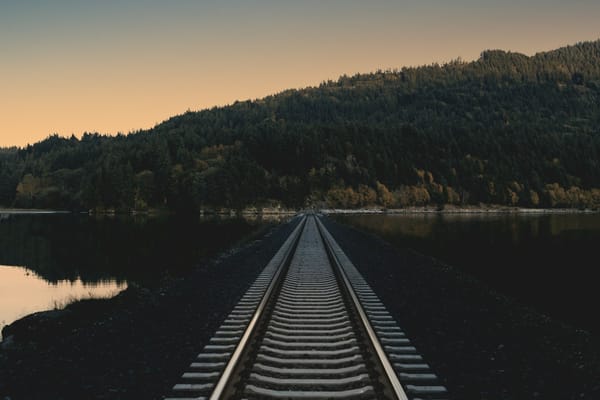 Woman Reports Black Man for Having Bad Posture On the Train